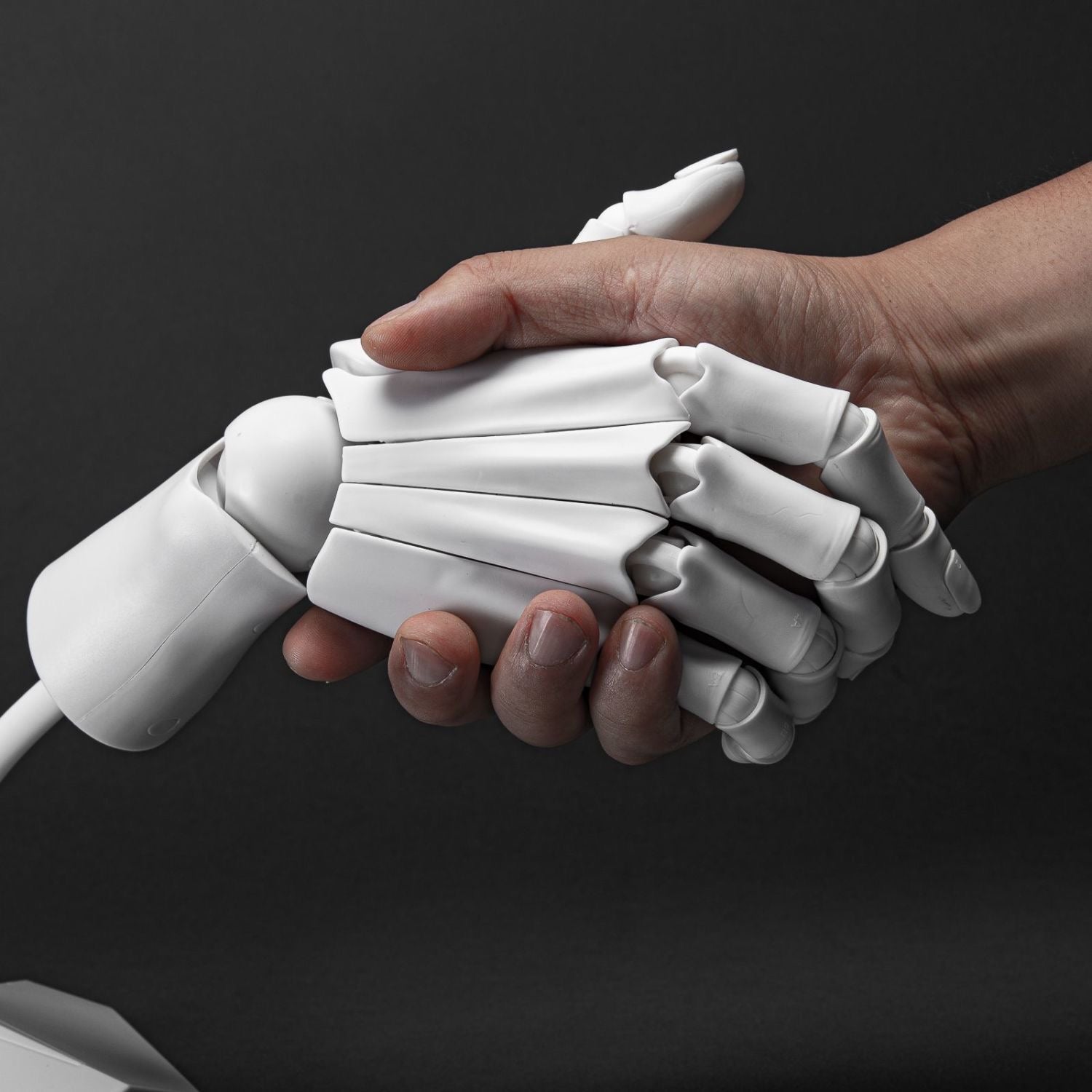 Ultra-activated Knuckles 3D Printed Model