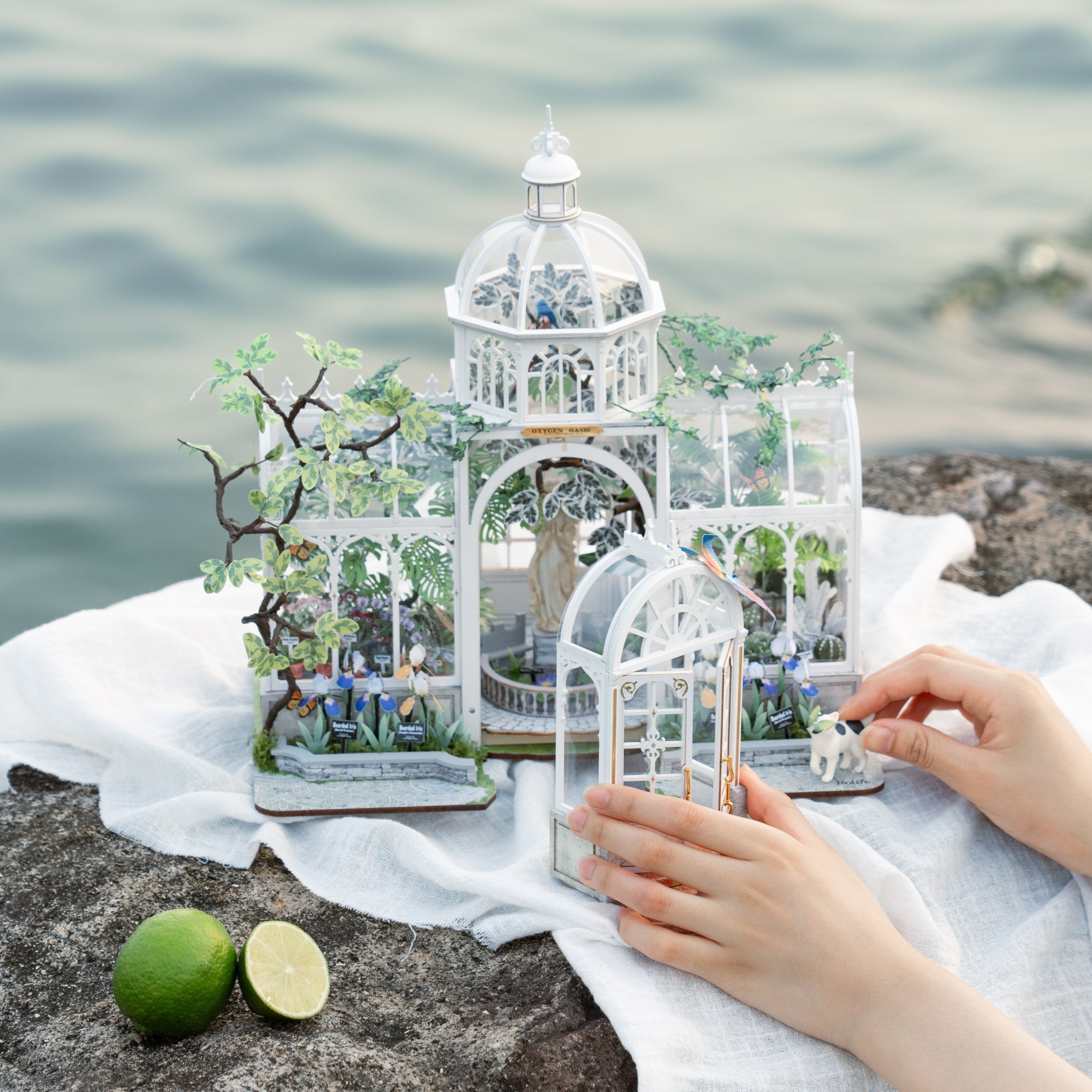 Oxygen Oasis DIY Miniature House