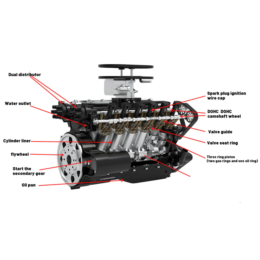 V12 Engine GS-V12 72CC DOHC 4-Stroke 12-Cylinder 48-Valve Water-Cooled Electric Start Gasoline Engine Model - V12 Engine Model That Works