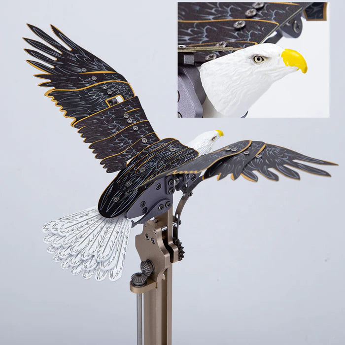 American Bald Eagle Model Kit - Haliaeetus Leucocephalus