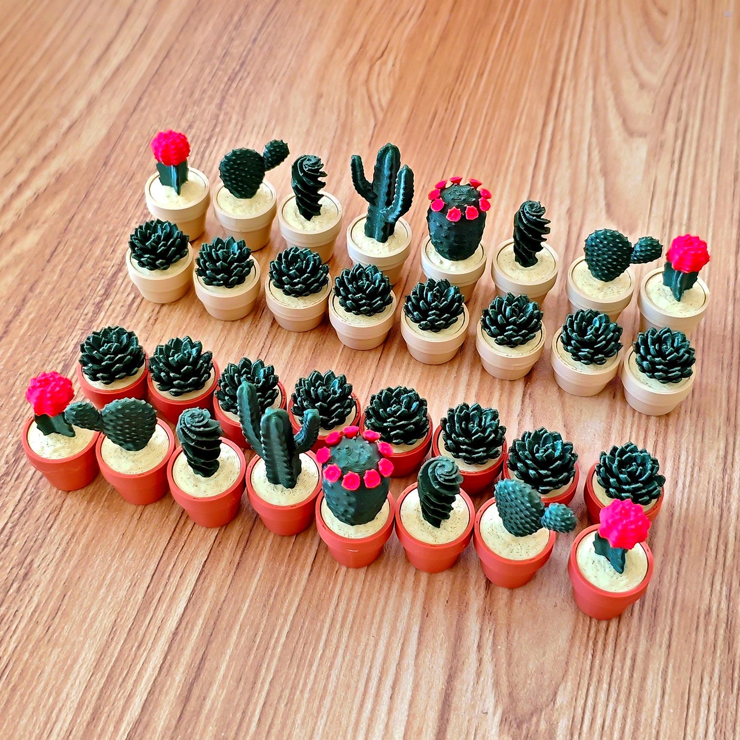 Cactus Chess Simulator 3D Printed Model