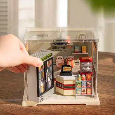 Wonderful Space Miniature House